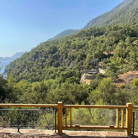 Tiny House Valley Hotel